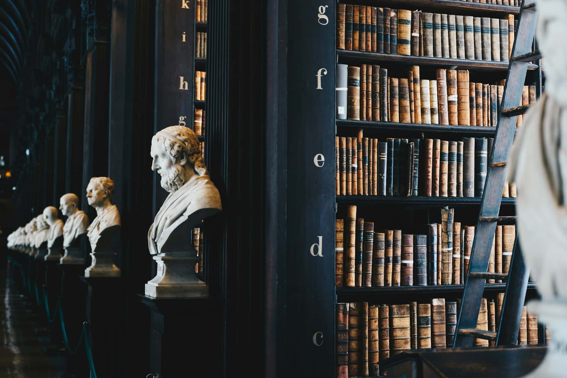 Bibliotekë klasike me rafte librash të vjetër